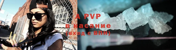 гидра Богданович