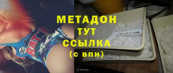 гидра Богданович