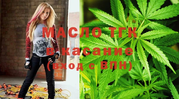 эйфоретик Бородино
